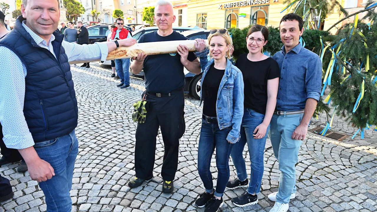 Maibaum für Bürgermeister und die Stadtbewohner von Retz