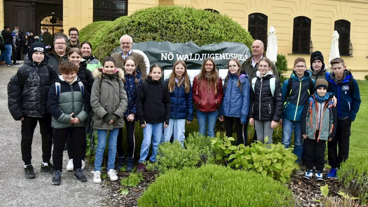 Waldjugendspiele lockten zahlreiche Teilnehmer nach Orth