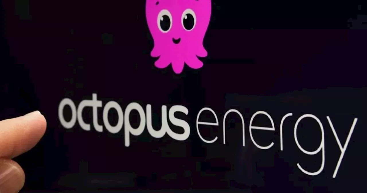 Octopus Energy sends £178 warning to customers over bills