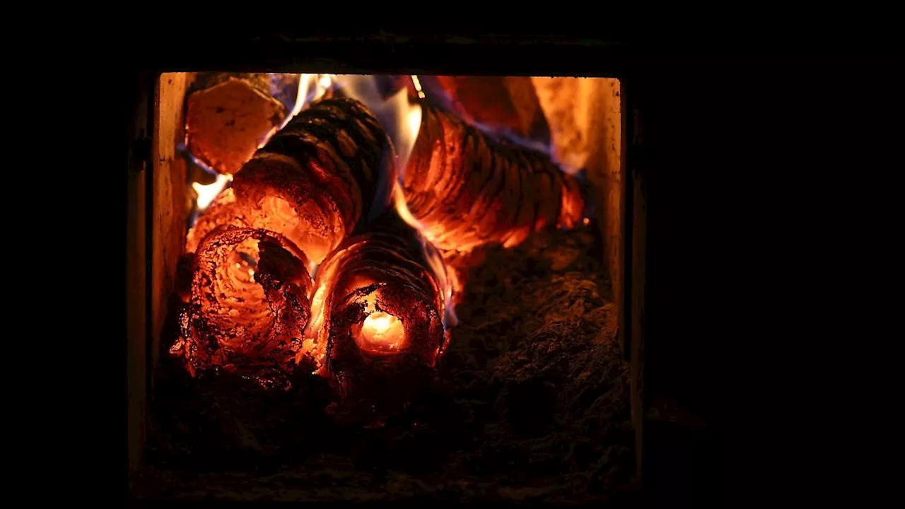 Bayern: Bayern will Heizen mit Holz vorantreiben