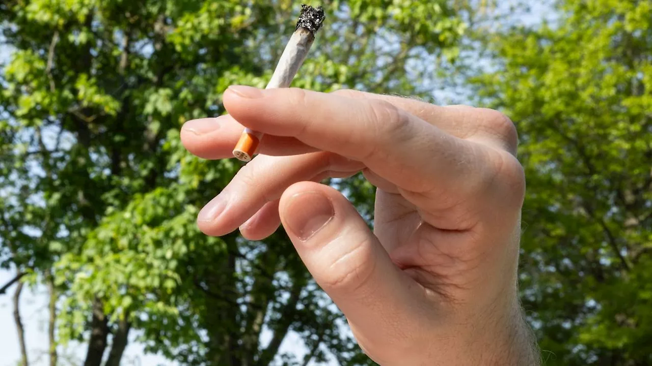 Nordrhein-Westfalen: Verordnung: Kommunen sollen Cannabisregeln kontrollieren