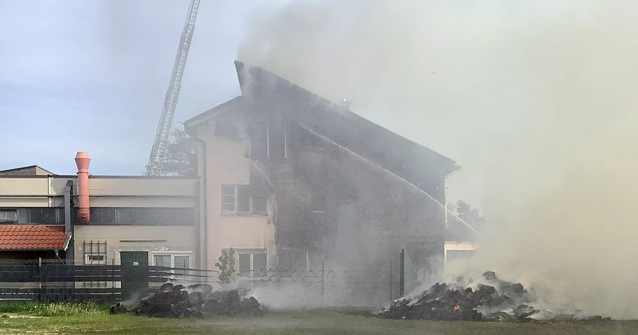 Feuer greift von Pferdestall auf Paderborner Wohnhaus über