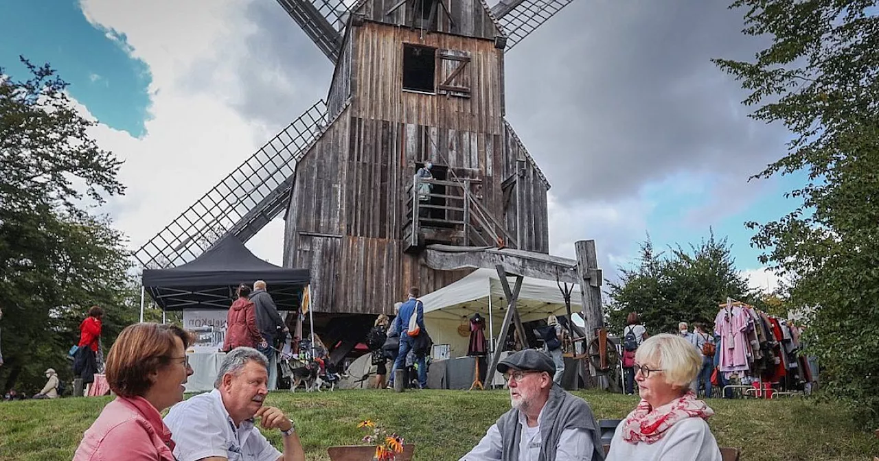 Wochenendtipps für Bielefeld: Pop-Poetin, Monstertrucks und Frühjahrsmarkt am Bauernhausmuseum