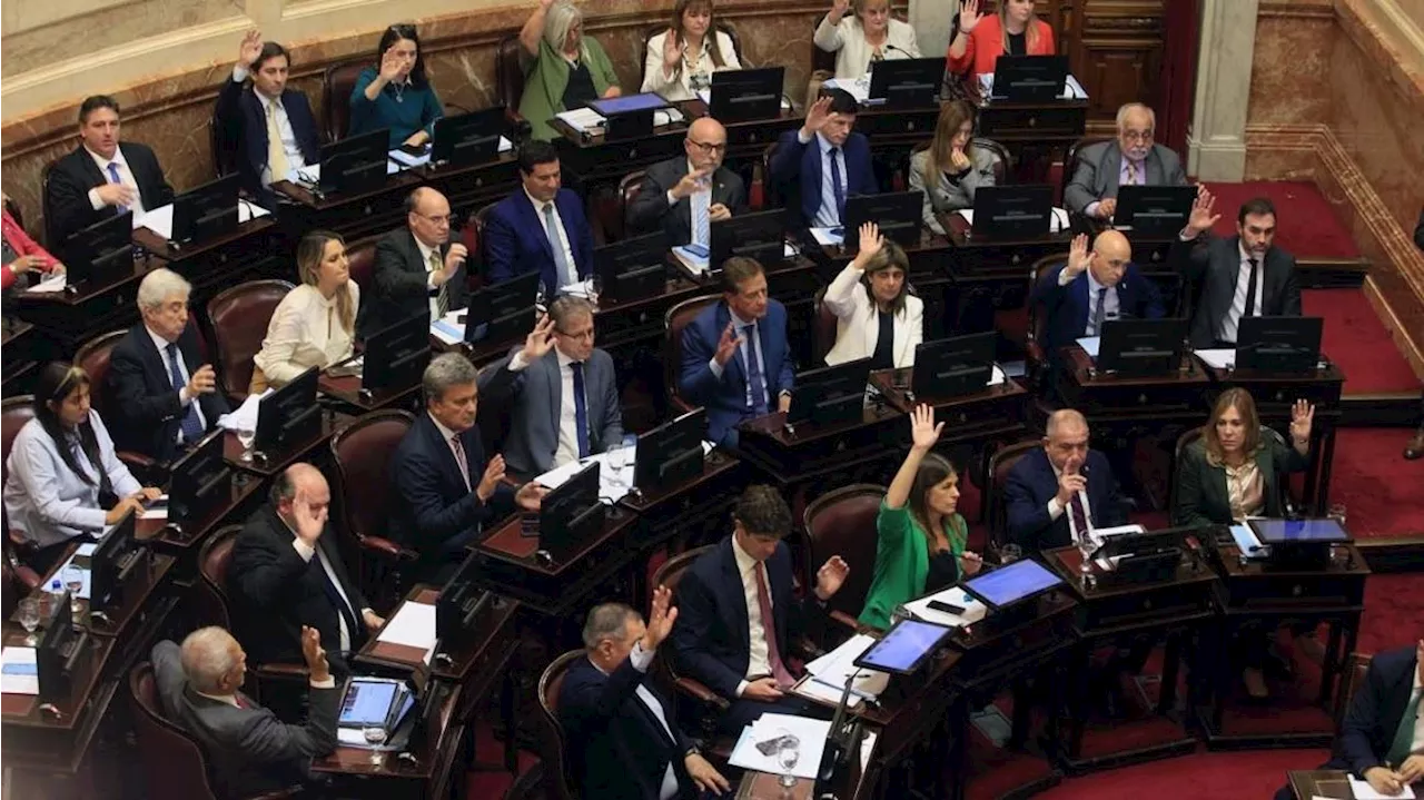 Ley Bases: cómo quedará la situación de los empleados públicos si se aprueba en el Senado