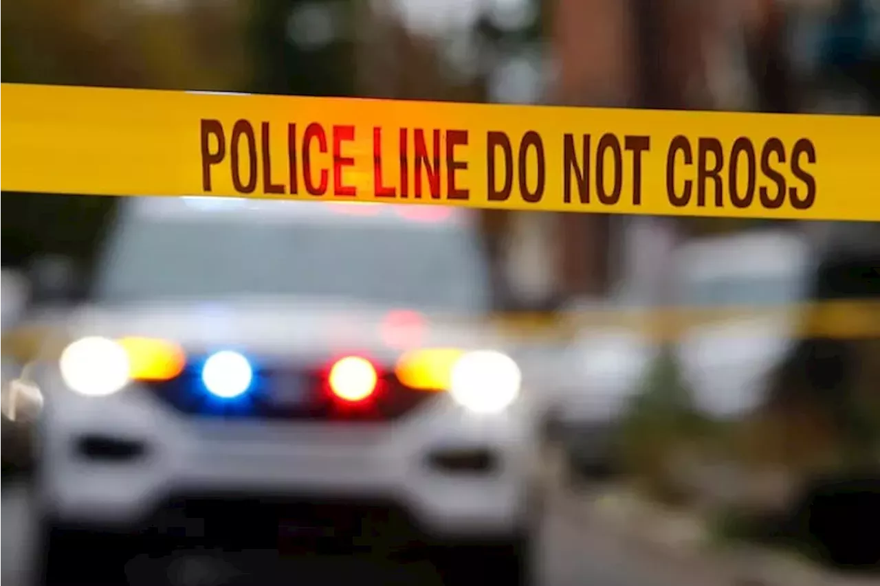 Philly police officer fatally shoots dog attacking man in Mantua ...