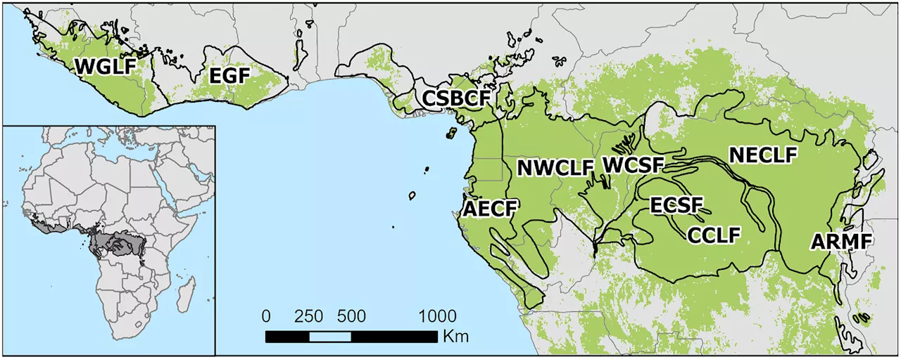 Wildfires in wet African forests have doubled in recent decades, large-scale analysis finds