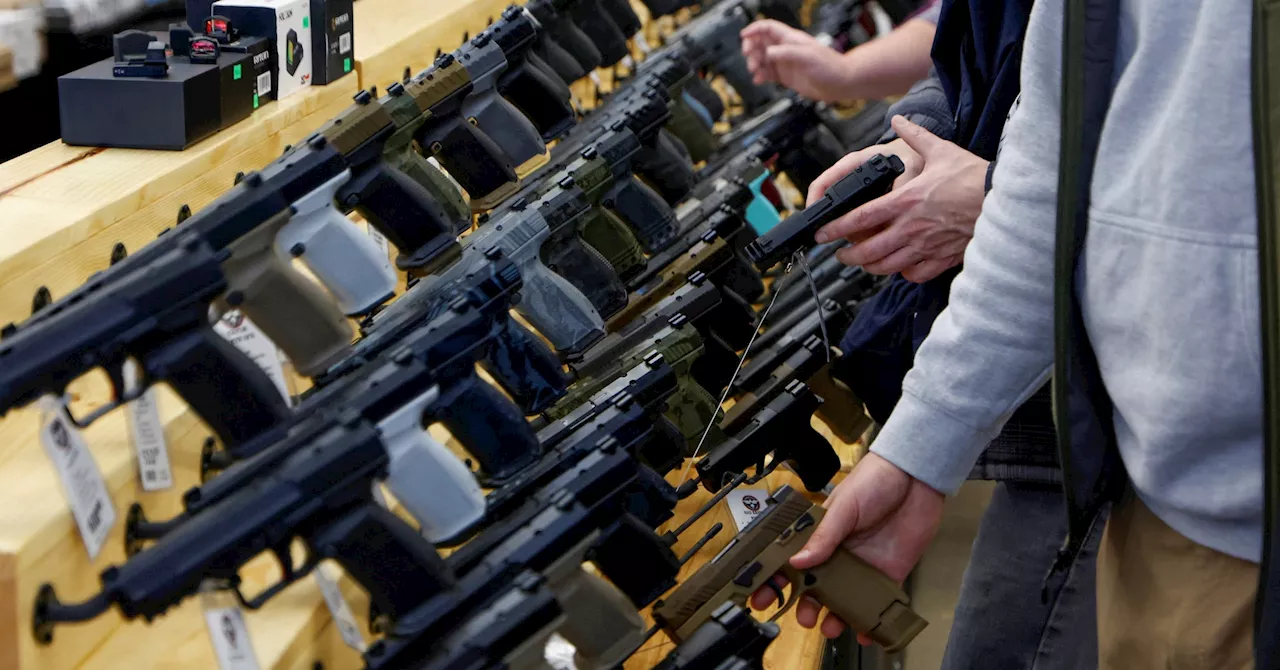 Republican-led US states sue to block expanded gun background checks