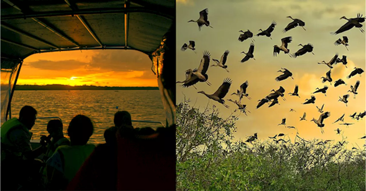 This Beautiful River Cruise In Teluk Intan Lets You Catch Sunsets, Spot Herons & Fireflies