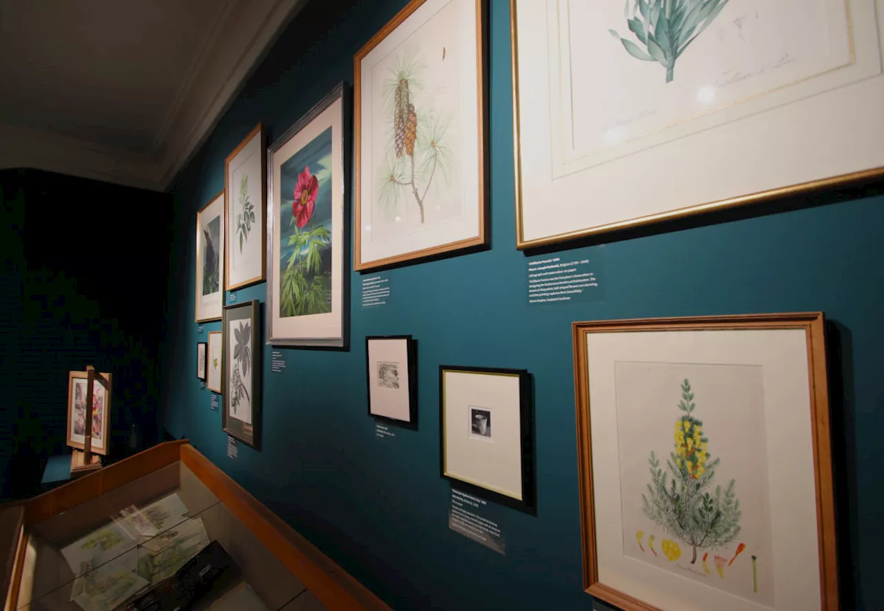 New gallery in Shropshire celebrates nature’s power, beauty and influence