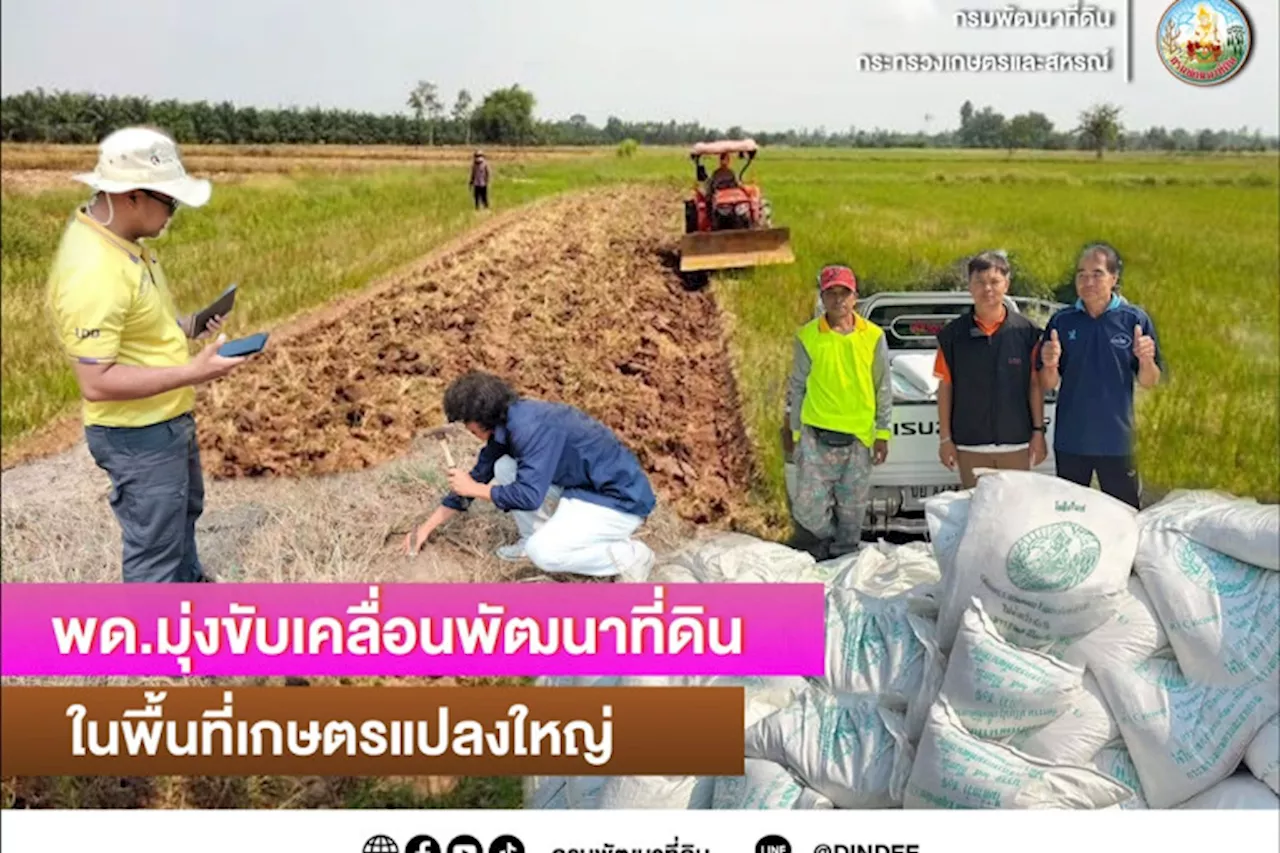 พด.ส่งเสริมพัฒนาที่ดินพื้นที่เกษตรแปลงใหญ่ ลดต้นทุน เพิ่มมูลค่าสินค้าเกษตร