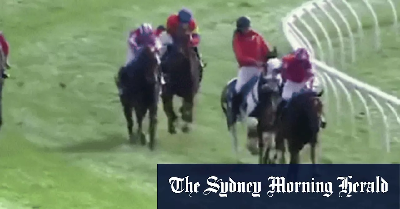 ‘I’ve never seen that happen’: Shock obstacle bobs up in Warrnambool jumps race