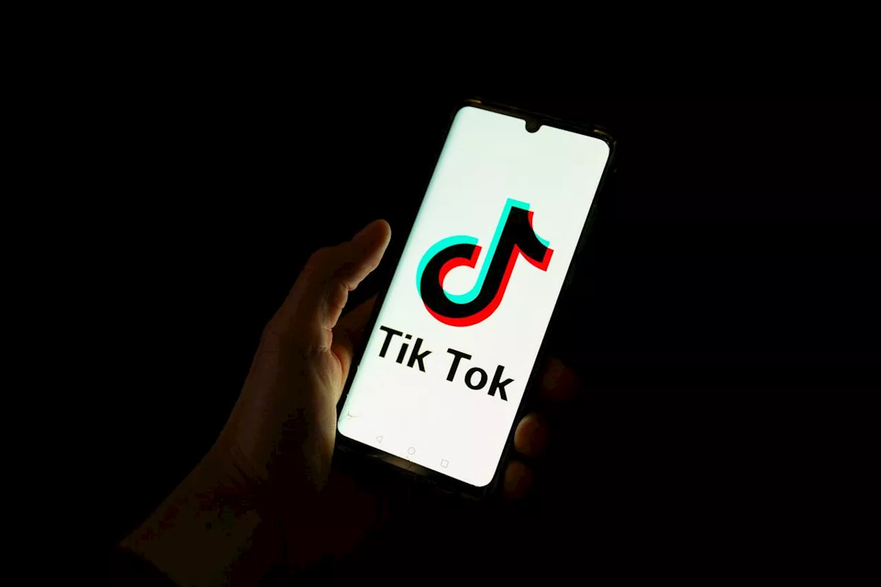 La Rochelle : il filmait les policiers pour les insulter en musique sur TikTok