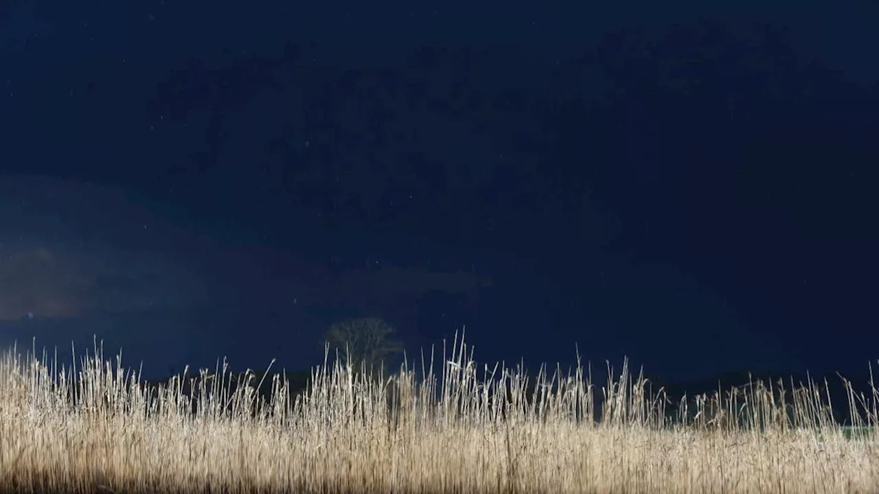 Unwetterwarnung in Bayern: Starkregen, Sturmböen und Hagel erwartet