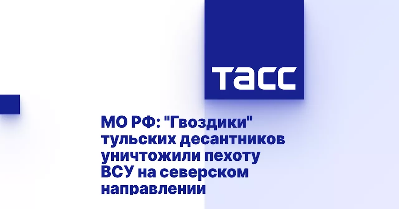 МО РФ: 'Гвоздики' тульских десантников уничтожили пехоту ВСУ на северском направлении