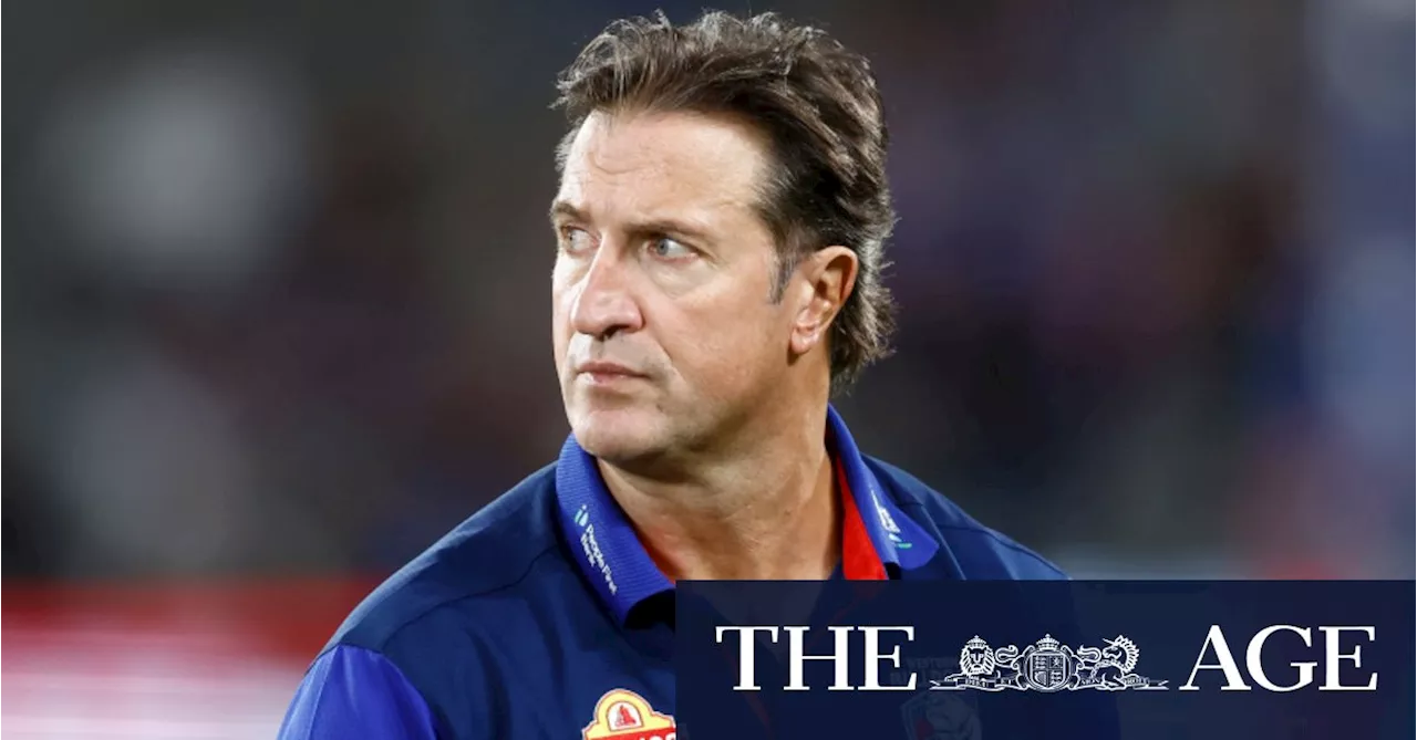 Dogs coach Beveridge labels Draper’s jibe ‘bizarre’