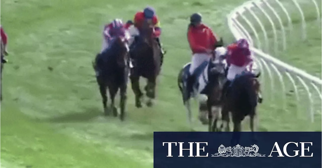 ‘I’ve never seen that happen’: Shock obstacle bobs up in Warrnambool jumps race