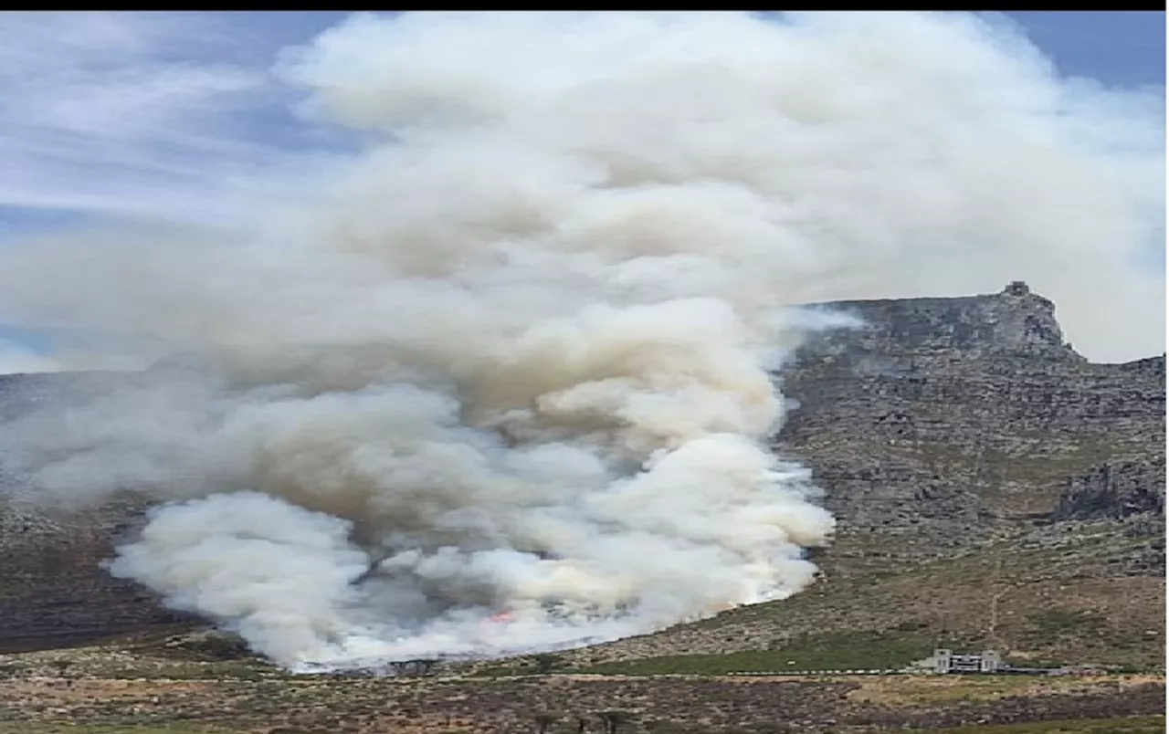 SANParks gives update on Table Mountain National Park fires