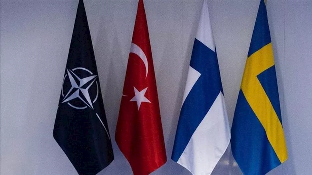 Finland, Sweden ensure full support for Ankara's fight against terrorism