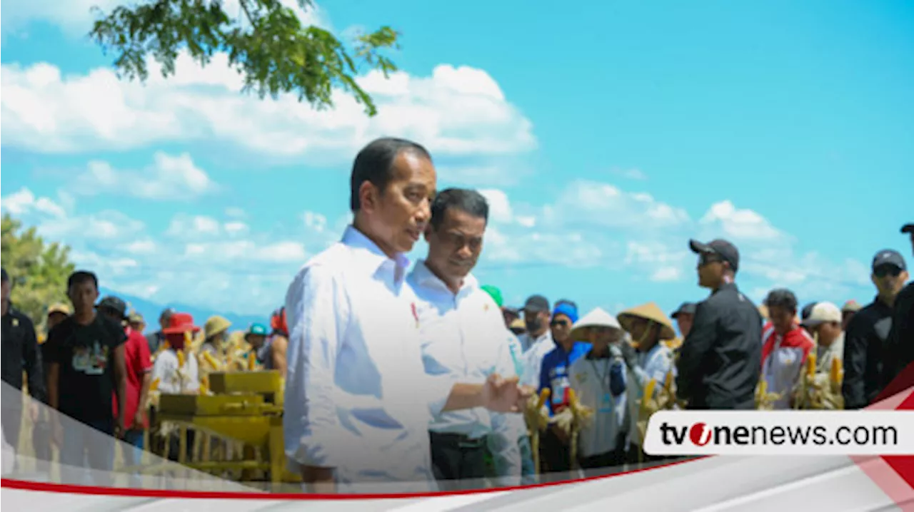 Panen Jagung bersama Mentan di Sumbawa, Jokowi Tekankan Keseimbangan Harga