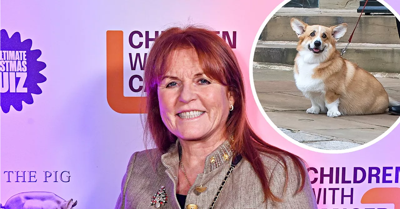 Sarah Ferguson Says Her and Queen Elizabeth's Dogs Get Along Well