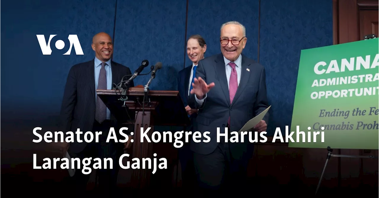 Senator AS: Kongres Harus Akhiri Larangan Ganja