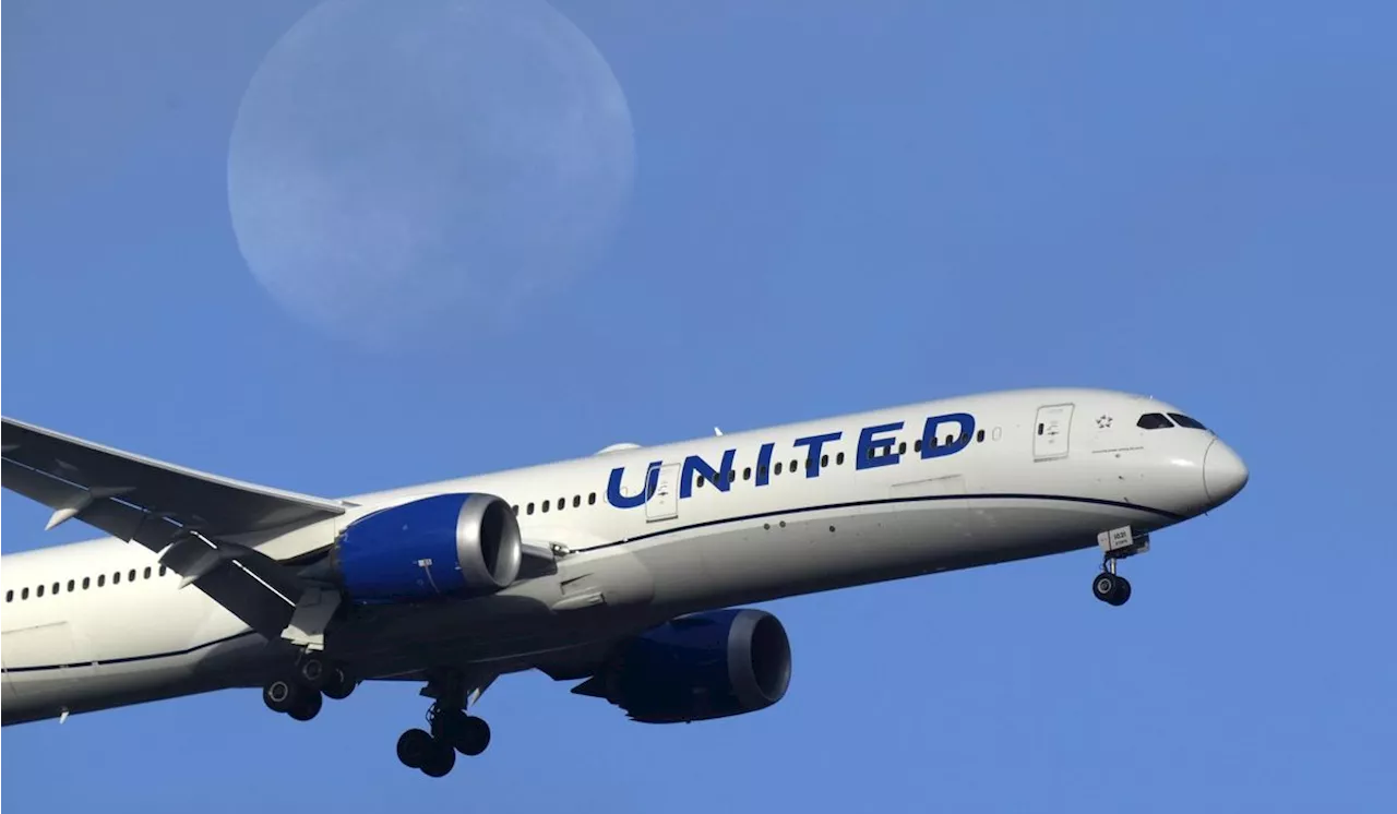 British national who disrupted United Airlines flight ordered to pay $20K