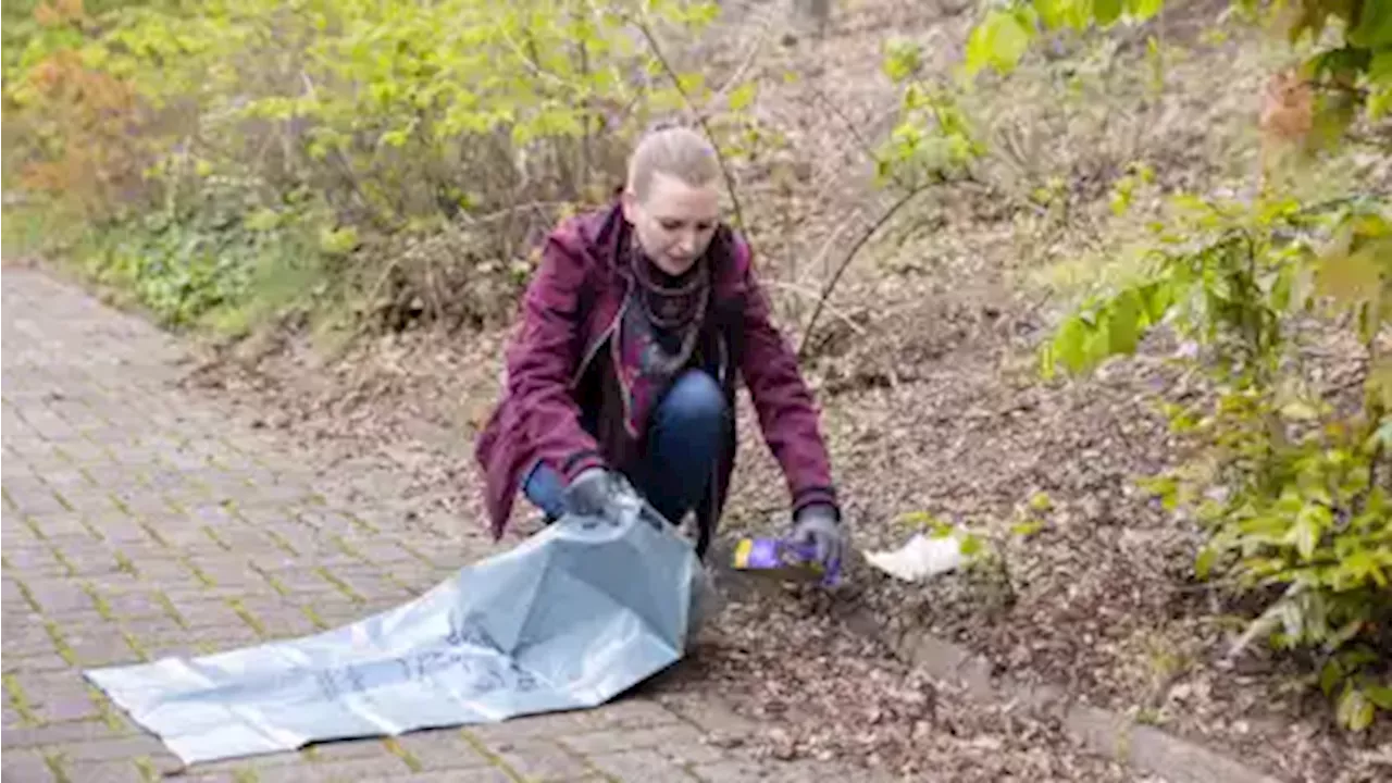 Woche der Natur: Bassum beteiligt sich an Umweltaktion im Juni