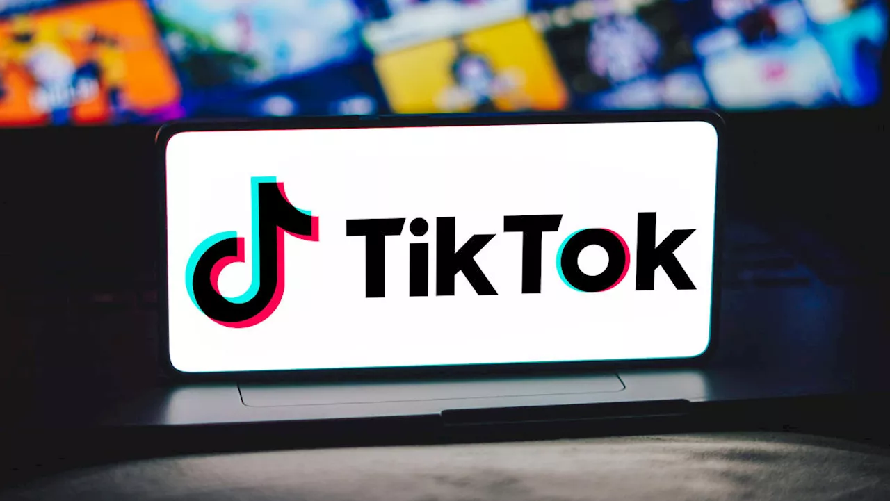 Why content creators should diversify beyond TikTok