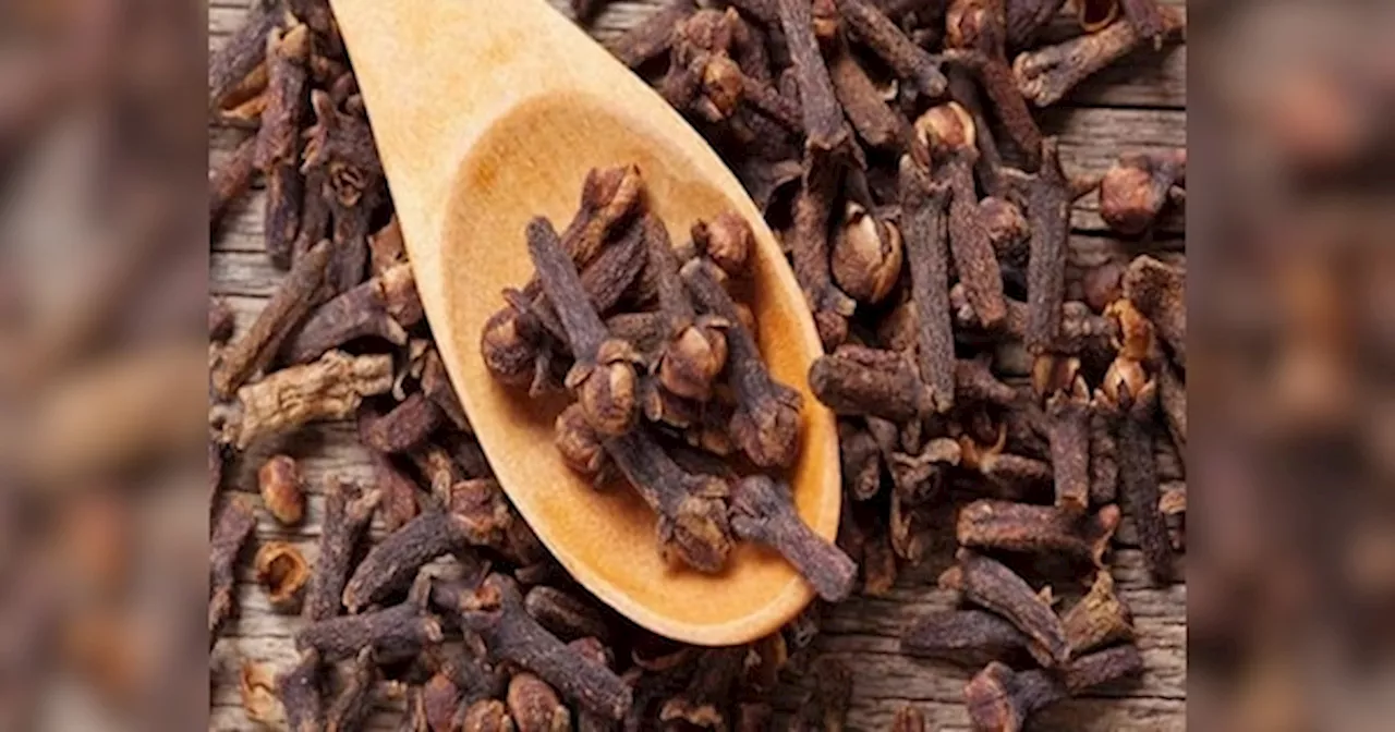 Cloves Benefits: कफ-खांसी से लेकर जोड़ों का दर्द को पल भर में दूर करता है लौंग, जानें उपाय का तरीका