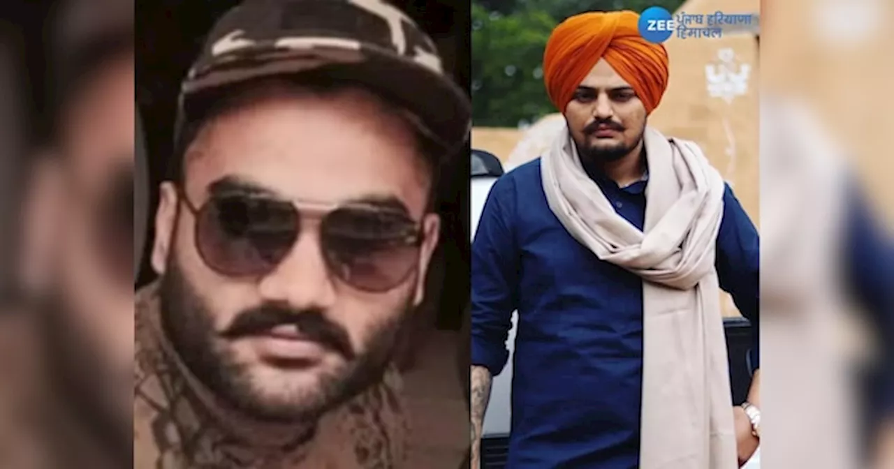 Goldy Brar Death News: ਕਿਸ ਨੇ ਮਾਰਿਆ ਜਿਉਂਦਾ ਗੋਲਡੀ ਬਰਾੜ, ਜਾਣੋ ਪੂਰੀ ਸਚਾਈ