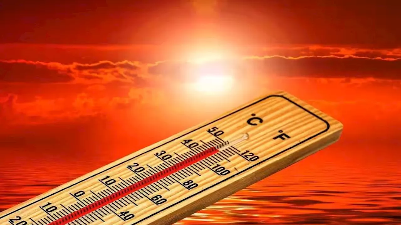 Heatwave: ഉഷ്ണതരം​ഗ സാധ്യത; ആറ് വരെ വിദ്യാഭ്യാസ സ്ഥാപനങ്ങൾക്ക് അവധി, പുറം ജോലികൾക്ക് സമയനിയന്ത്രണം