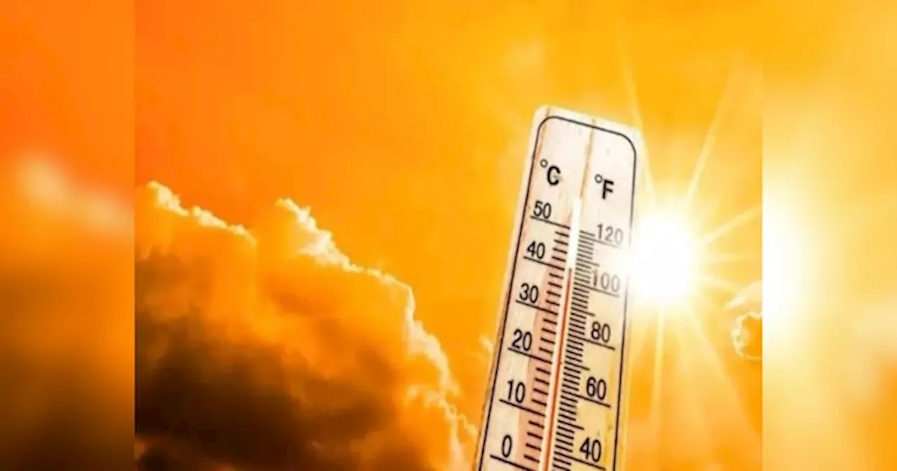 Heatwave in Bihar: लू और हीटवेब के सितम से राहत दिलाएगी बारिश, बिहारवासियों पर मेहरबान हो सकता है शनिवार