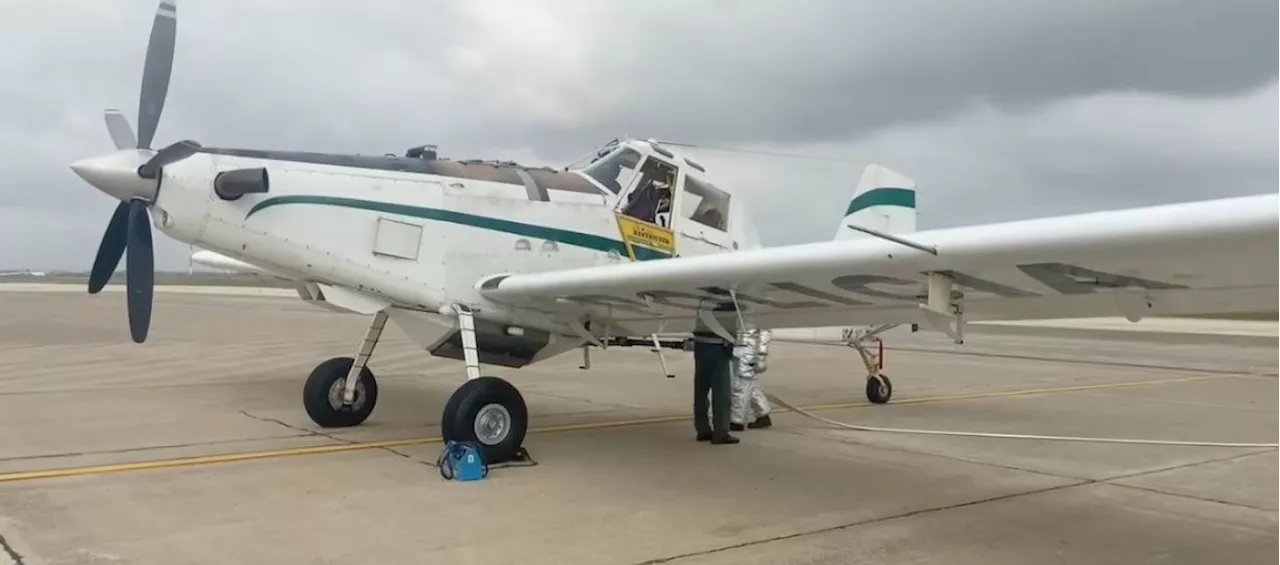 Con avioneta, Mebar se une a campaña para combatir quemas en Isla Salamanca