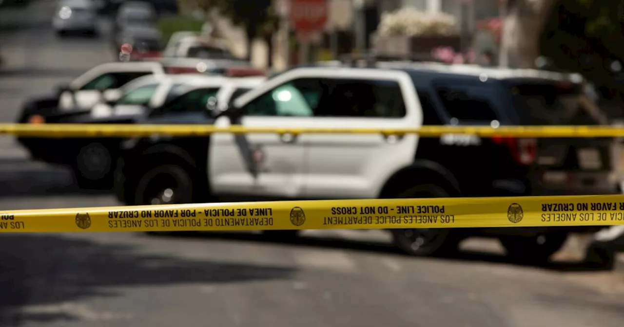 Man steals Los Angeles police vehicle with officer still inside