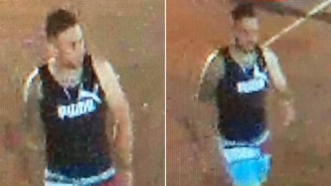 Manhunt for stranger who smashed car window with gun, threatened man and woman in Campbelltown