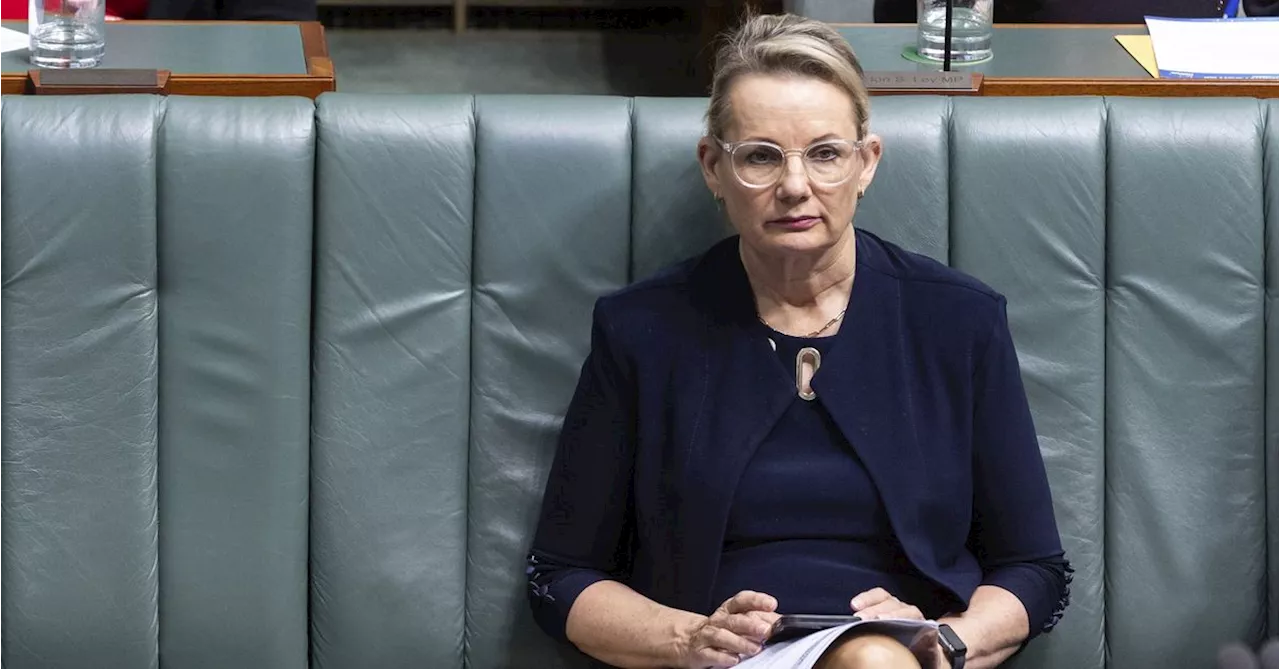 Sussan Ley calls for Australian boycott of Diddy's music following horrific domestic violence video