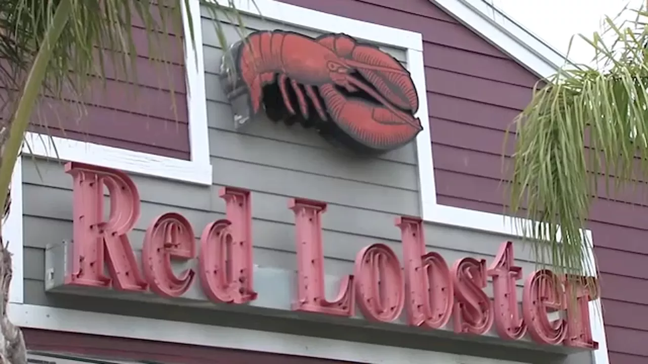 Red Lobster files for bankruptcy | What's next for the largest seafood restaurant chain in the world