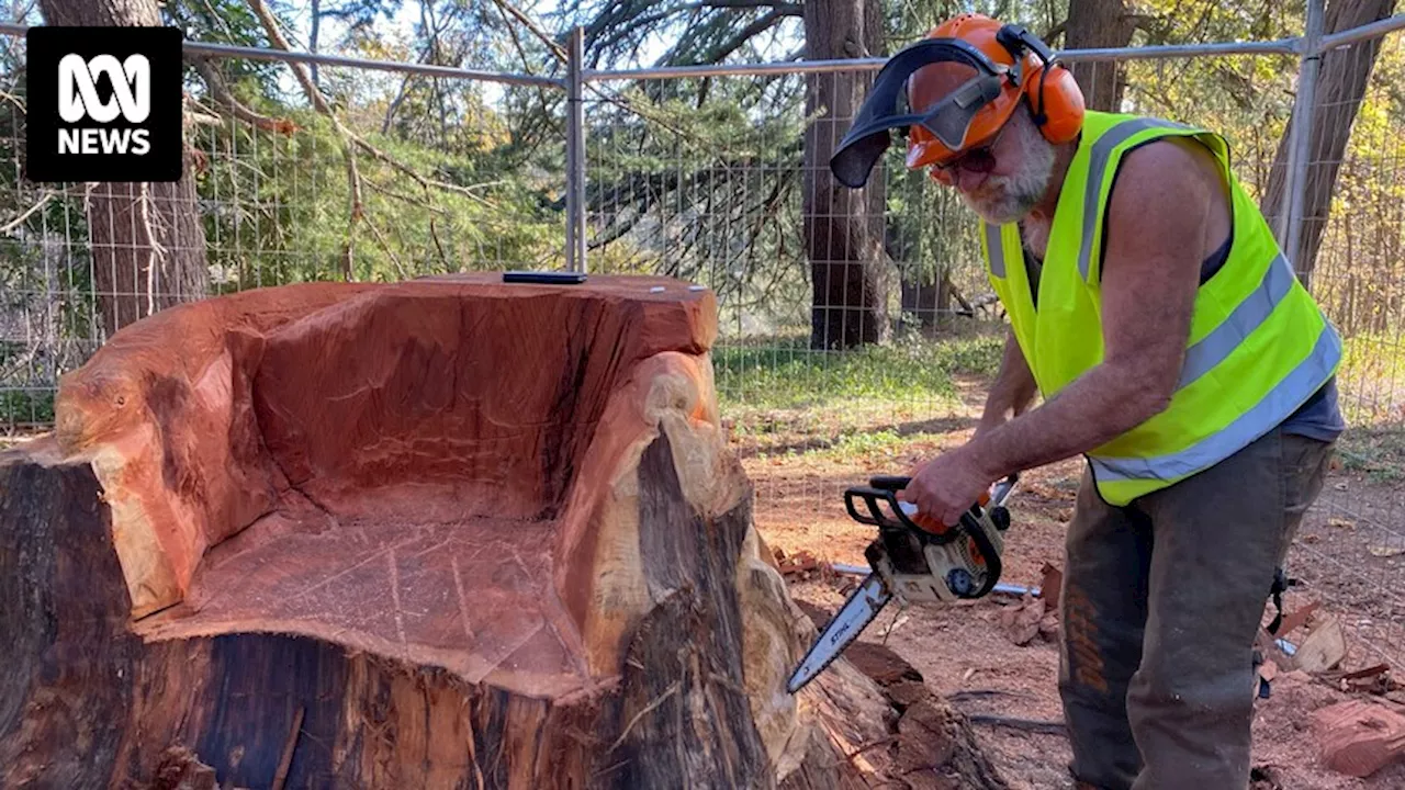 Beechworth chainsaw carver Kevin Duffy makes art from Californian giant sequoia struck by lightning