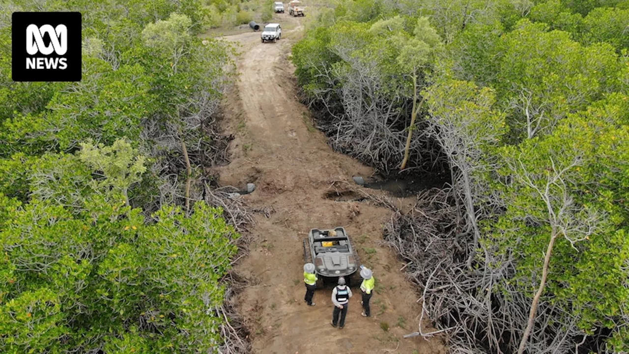 Frank Reginald Jones fined for clearing driveway through Bowling Green Bay National Park