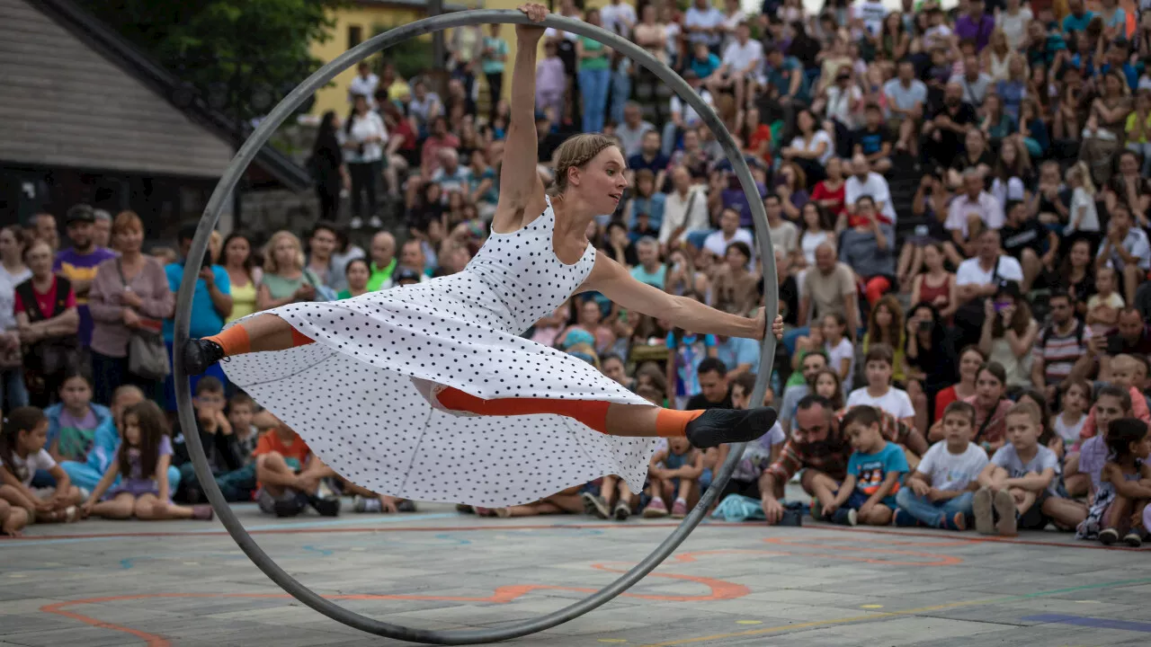 La Ferté-Bernard : le festival Saint-Lyphard fête sa 15e édition