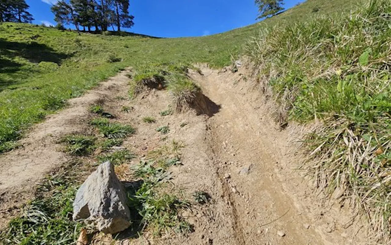 Die Haftungsfrage ist für Bauern bei Mountainbike-Routen entscheidend