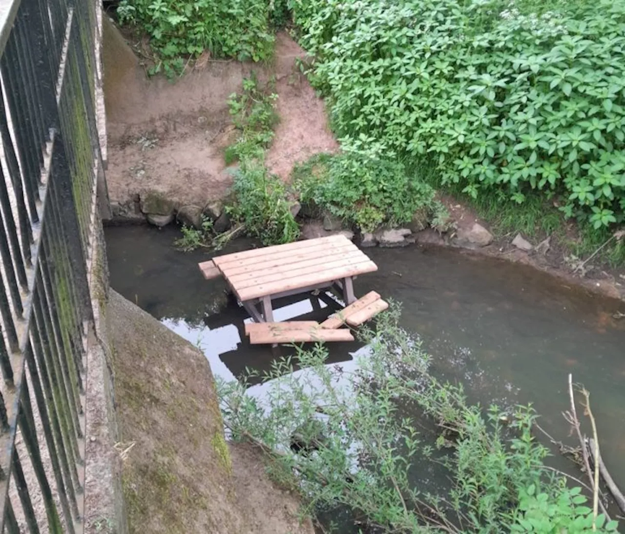 Benches thrown in brooks and trees cut down in Moor Park and Haslam Park vandalism