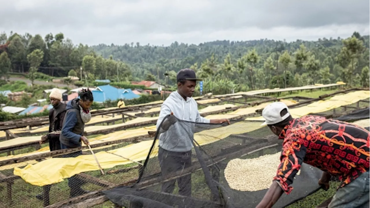 Kenya’s Economic Growth of 5.6% in 2023 Fastest in Two Years