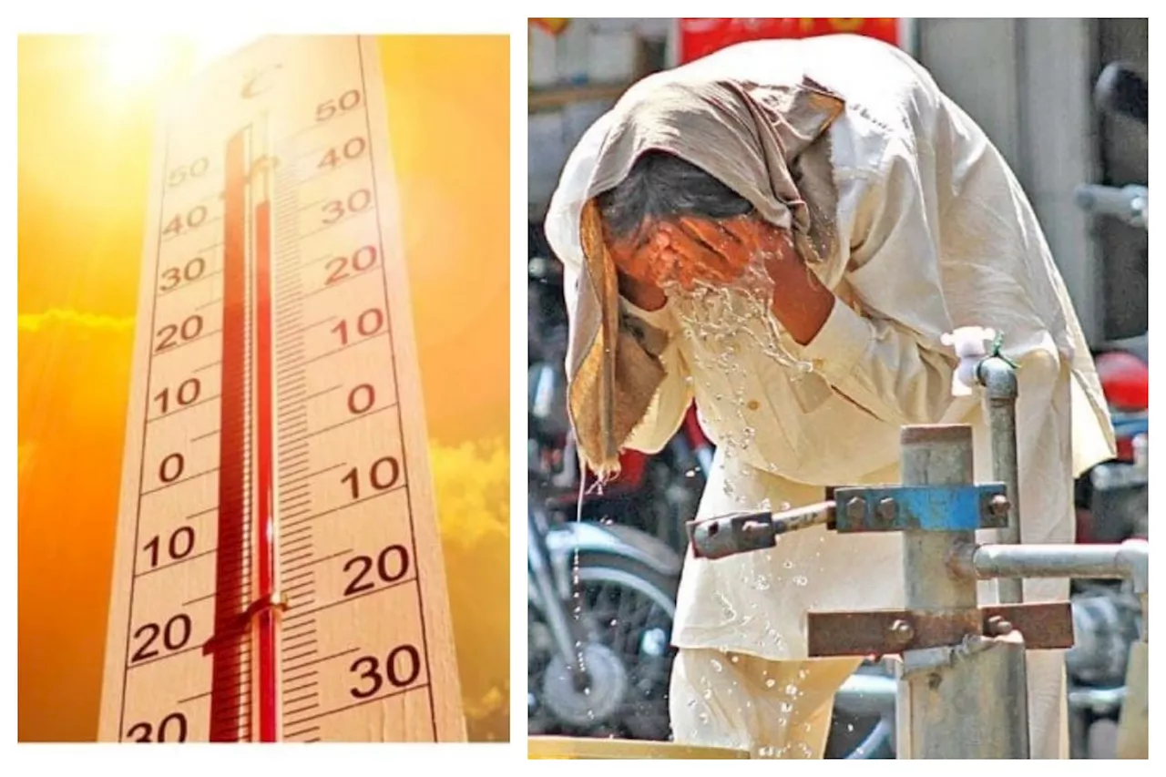 Heatwave Alert! Met Office Issues Safety Tips for Public & Farmers!