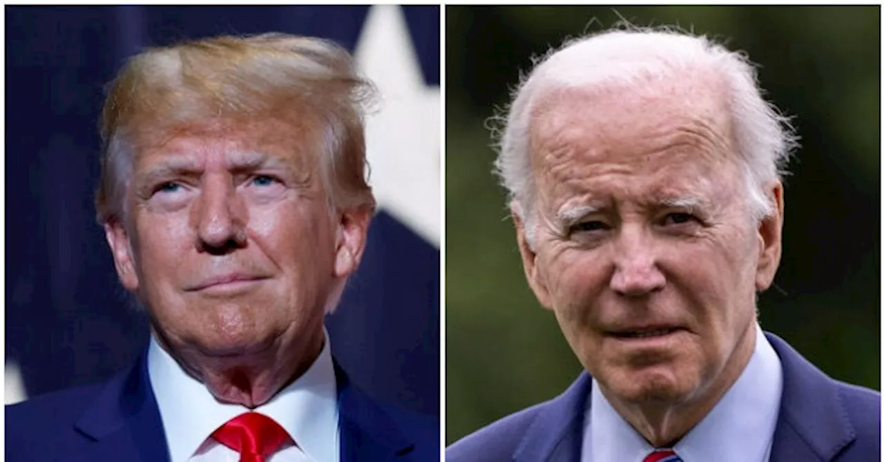 Harvard Poll: Donald Trump Leads Joe Biden by 6 Points as He Dominates with Independents