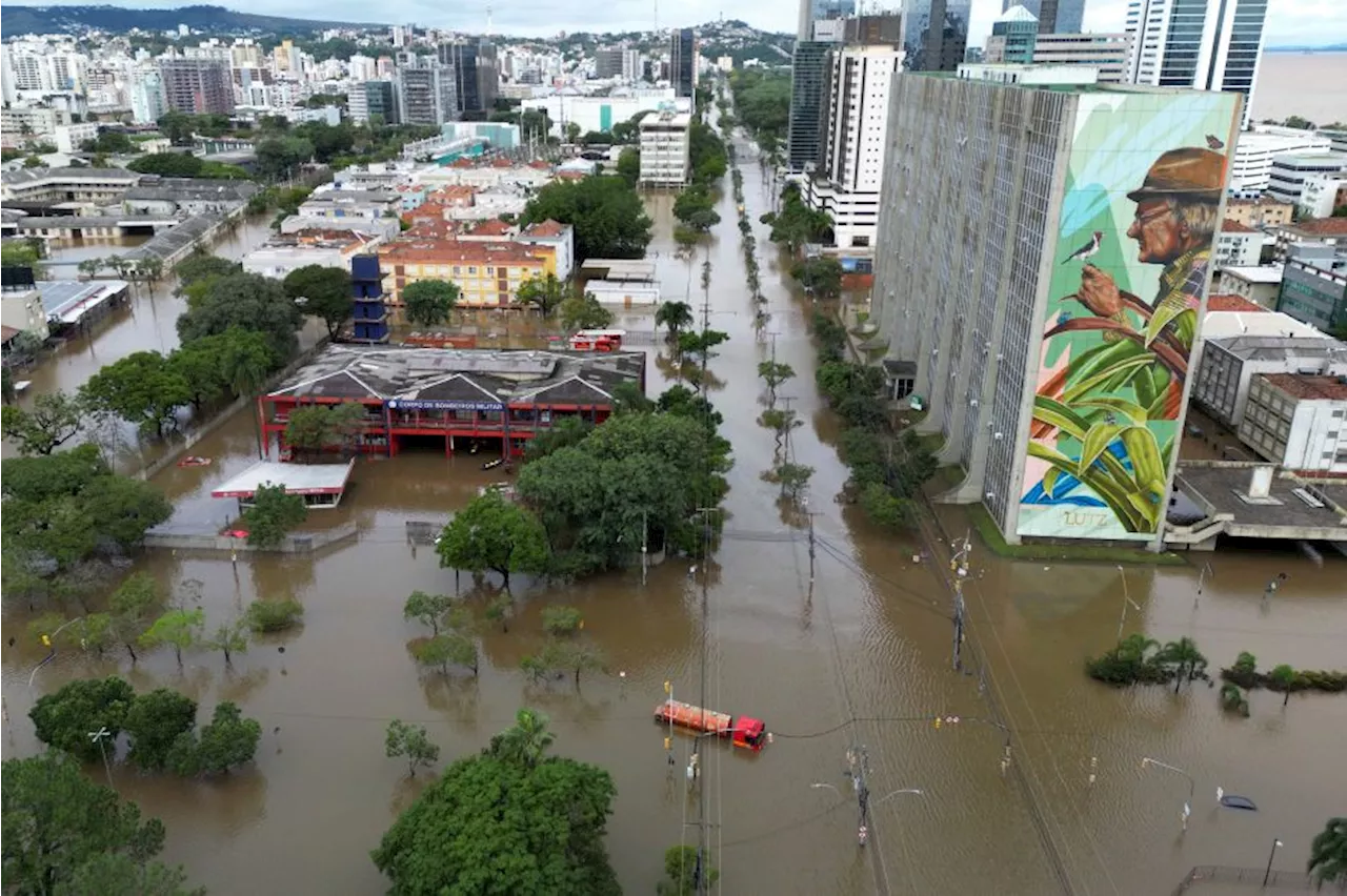 Partido Verde pede ao STF que suspenda Código Ambiental aprovado por Leite no RS | Blogs CNN