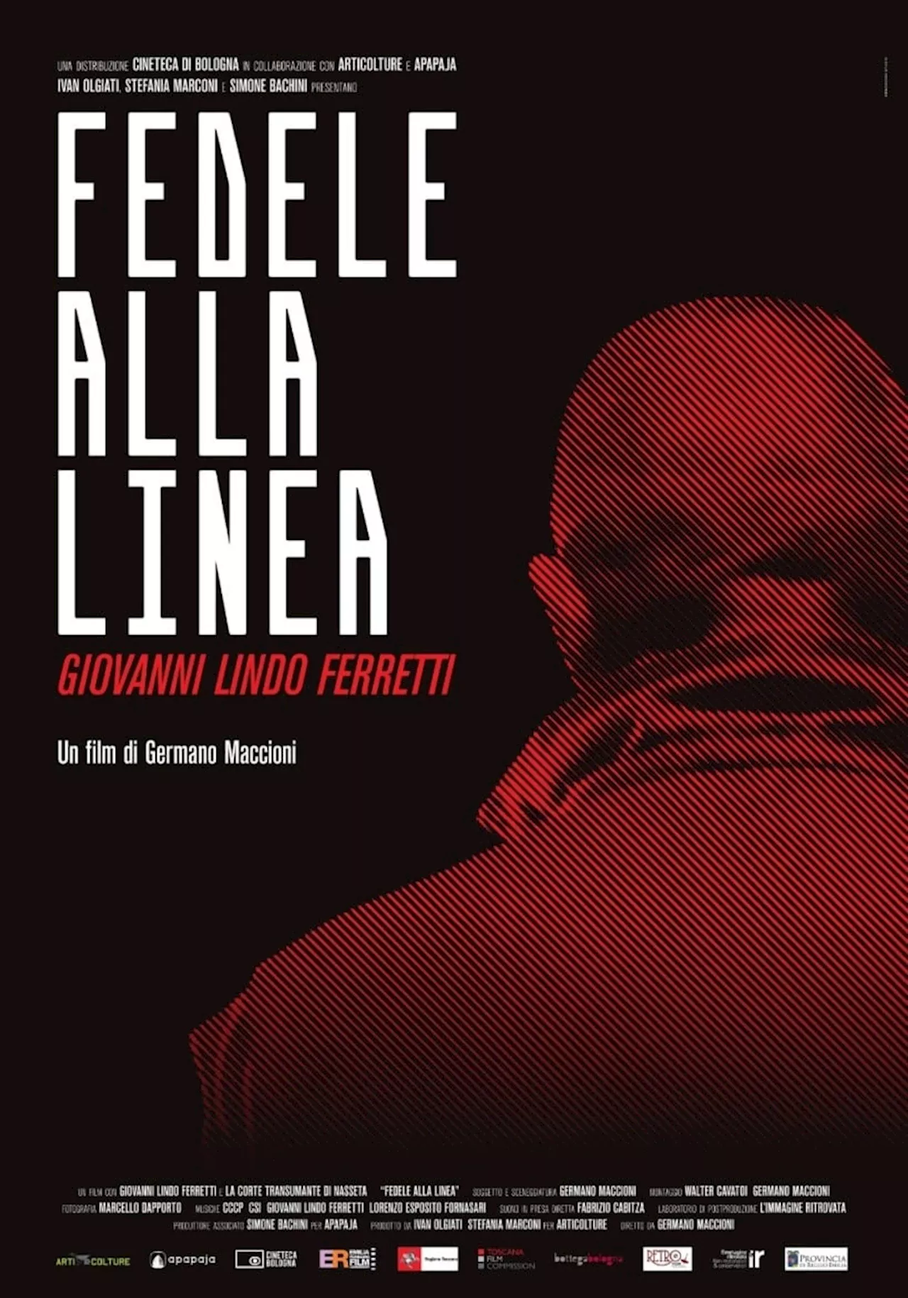 Fedele alla linea - Film (2013)