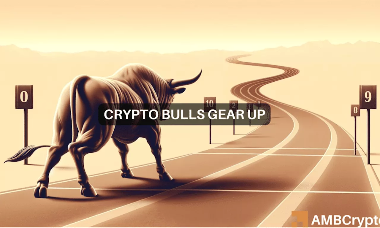 Despite crypto market swings, key indicators show early signs of a bull run