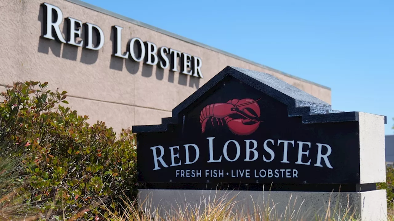 Red Lobster probes 'endless shrimp' losses after bankruptcy filing