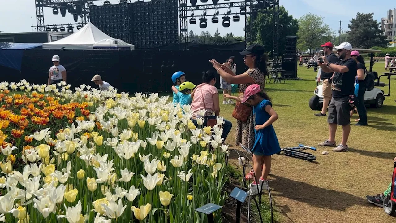 Thousands come out for last day of Canadian Tulip Festival on Victoria Day